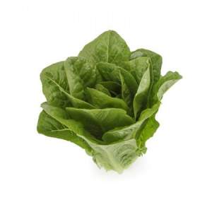 Салат Тукадонна 1000 семян. (Rijk Zwaan) Салат Тукадонна 1000 семян. (Rijk Zwaan)