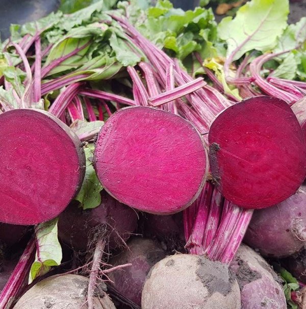 Свекла Скарлет F1 50 000 семян. (Hazera) Свекла Скарлет F1 50 000 семян. (Hazera)