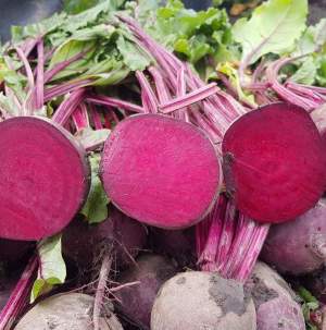 Свекла Скарлет F1 50 000 семян. (Hazera)