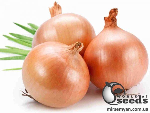 Лук Кенди F1 250 000 семян. (Seminis) Лук Кенди F1 250 000 семян. (Seminis)