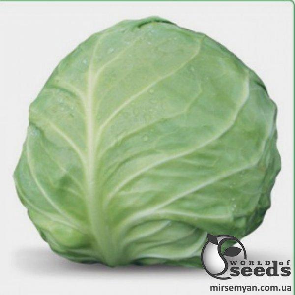 Капуста Акира F1 1000 семян. (Kitano) Капуста Акира F1 1000 семян. (Kitano)