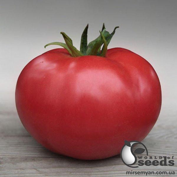 Помидоры Кибо F1 1000 семян. (Kitano) Помидоры Кибо F1 1000 семян. (Kitano)