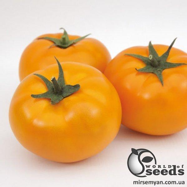 Помидоры КS 10 (Ямамото) F1 100 семян. (Kitano) Помидоры КS 10 (Ямамото) F1 100 семян. (Kitano)
