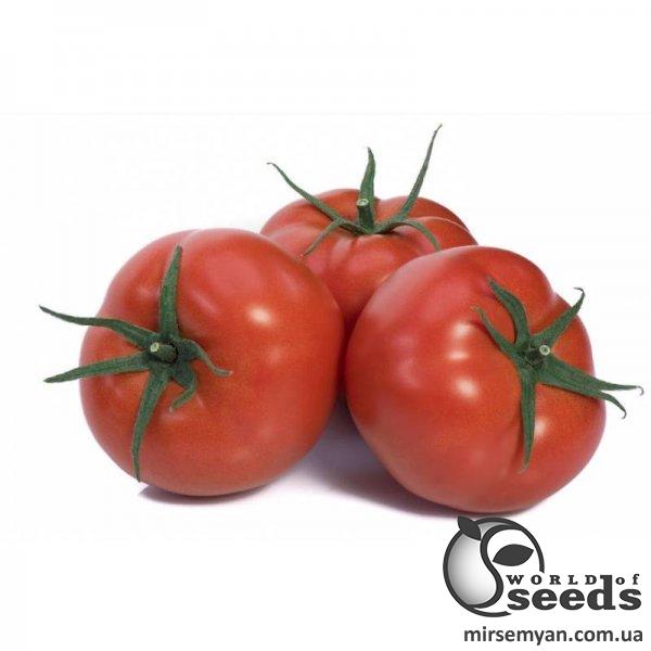 Помидоры Мейс F1 1000 семян. (Yuksel Seeds) Помидоры Мейс F1 1000 семян. (Yuksel Seeds)