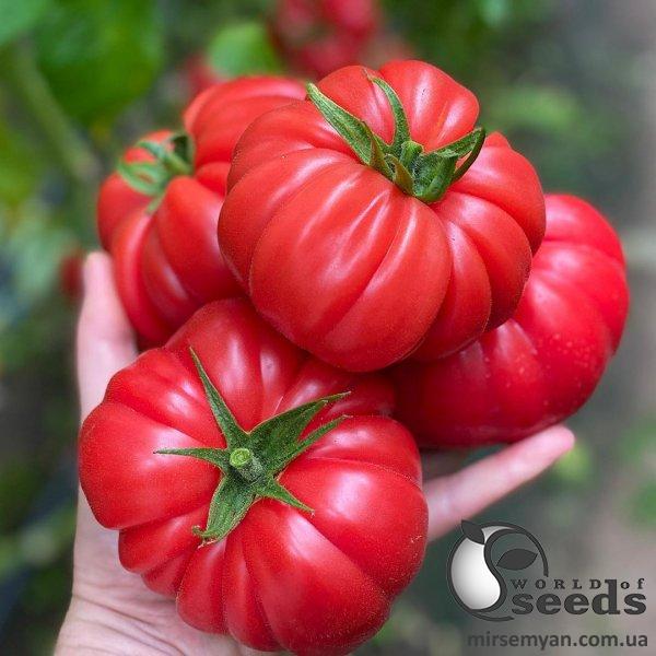 Помидоры Пинк Кой F1 100 семян. (Yuksel Seeds) Помидоры Пинк Кой F1 100 семян. (Yuksel Seeds)