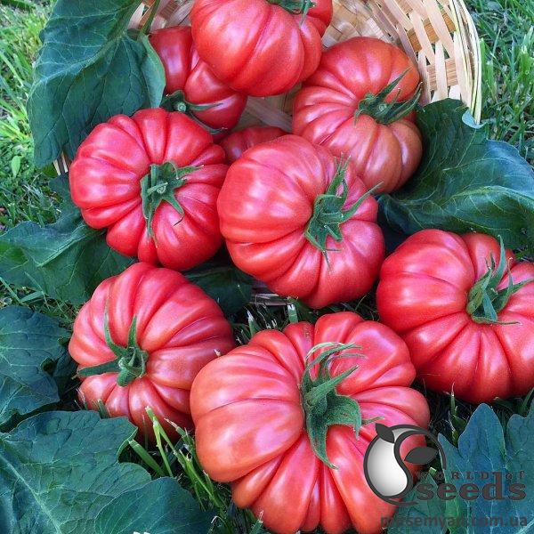 Помидоры Пинк Кой F1 500 семян. (Yuksel Seeds) Помидоры Пинк Кой F1 500 семян. (Yuksel Seeds)