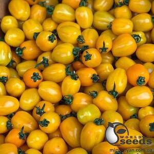 Помидоры Мода F1 100 семян. (Yuksel Seeds)