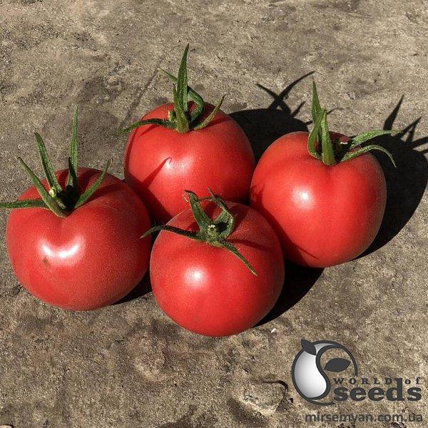 Помидоры Пинк Наггетс F1 500 семян. (Yuksel Seeds) Помидоры Пинк Наггетс F1 500 семян. (Yuksel Seeds)