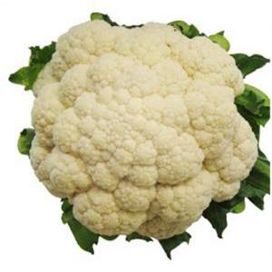 Капуста цветная Гудмен/Goodman 1 000 семян. (Bejo)