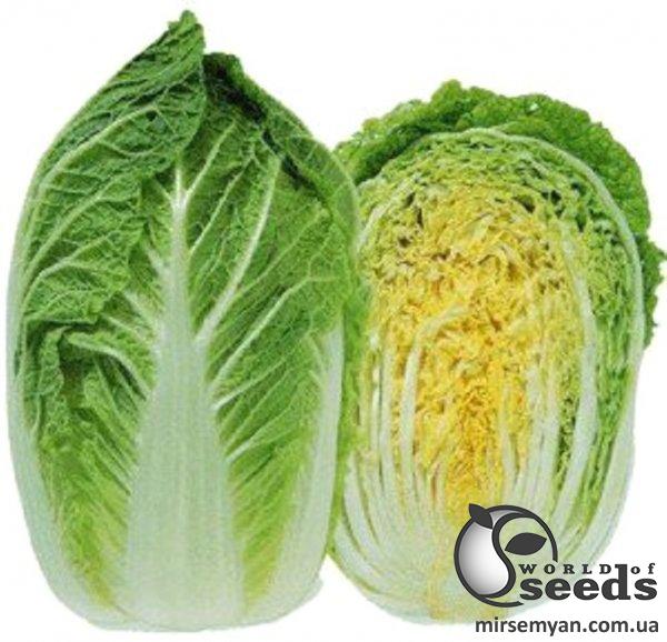 Капуста пекинская "AMG 2275" , 2 500 семян., AMG Капуста пекинская "AMG 2275" , 2 500 семян., AMG