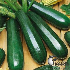 Кабачок Тармино F1 500 семян. Клоз