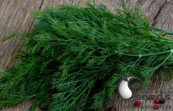 Укроп Дилл 50 гр. (Clause) Укроп Дилл 50 гр. (Clause)