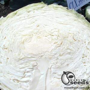 Капуста Браво/ Bravo F1 10 г, Клоз, (Clause) Капуста Браво/ Bravo F1 10 г, Клоз, (Clause)