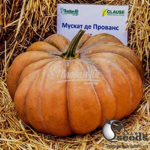Тыква Мускат де Прованс 500 гр. (Clause) Тыква Мускат де Прованс 500 гр. (Clause)