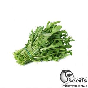 Рукола Грация/Grazia 10 000 семян. (Enza Zaden)