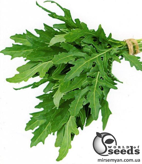 Рукола Летиция / Letizia 10 000 семян. (Enza Zaden) Рукола Летиция / Letizia 10 000 семян. (Enza Zaden)