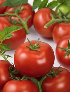 Помидоры Ронда F1 100 семян.Эргон