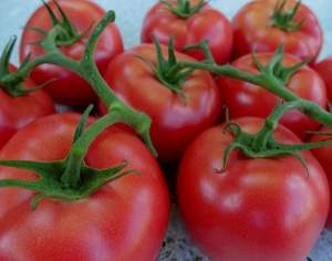 Помидоры Пинк Делайт F1 100 семян.Эргон