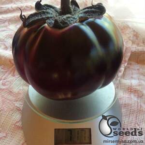 Баклажаны Джаз F1, 100 семян. (Lark Seesd)