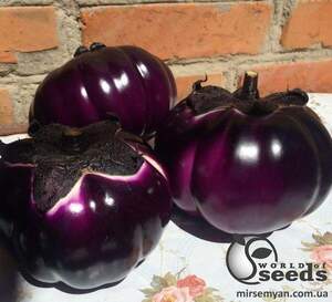 Баклажаны Джаз F1, 100 семян. (Lark Seesd)