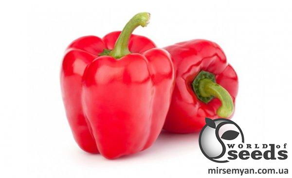 Перец 1601 F1 500 семян. (Lark Seeds) Перец 1601 F1 500 семян. (Lark Seeds)