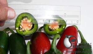 Перец 1851 F1 (острый) 500 семян. (Lark Seeds) Перец 1851 F1 (острый) 500 семян. (Lark Seeds)