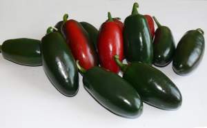Перец 1851 F1 (острый) 500 семян. (Lark Seeds)