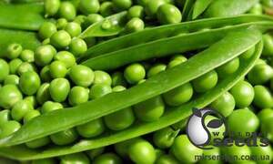 Горох Тиара F1 100 000 семян. (Lark Seesd) Горох Тиара F1 100 000 семян. (Lark Seesd)