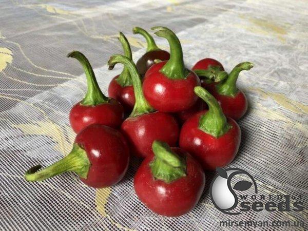 Перец Глобус F1 (острый) 500 семян. (Lark Seeds) Перец Глобус F1 (острый) 500 семян. (Lark Seeds)