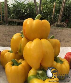 Перец Виват F1 500 семян. (Lark Seeds) Перец Виват F1 500 семян. (Lark Seeds)