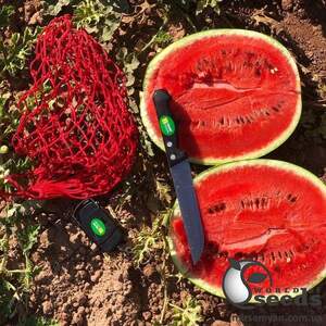 Арбуз Мисон F1 1000 семян. (Yuksel Seeds)