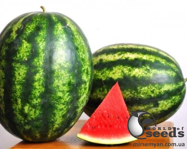 Арбуз Мисон F1 1000 семян. (Yuksel Seeds) Арбуз Мисон F1 1000 семян. (Yuksel Seeds)