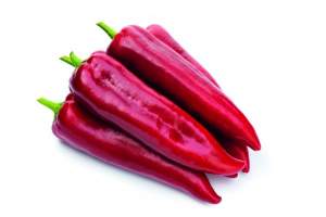 Перец Армагеддон F1 500 семян. (Yuksel Seeds)