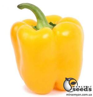 Перец Дениз F1 500 семян. (Yuksel Seeds)
