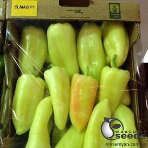 Перец Элмас F1 500 семян. (Yuksel Seeds) Перец Элмас F1 500 семян. (Yuksel Seeds)