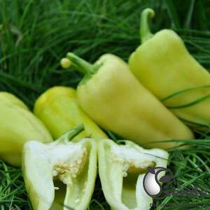 Перец Элмас F1 100 семян. (Yuksel Seeds)