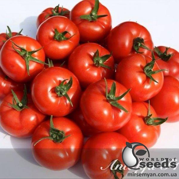 Помидоры Анталия F1 500 семян. (Yuksel Seeds) Помидоры Анталия F1 500 семян. (Yuksel Seeds)