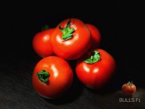 Помидоры Булз F1 500 семян. (Yuksel Seeds)