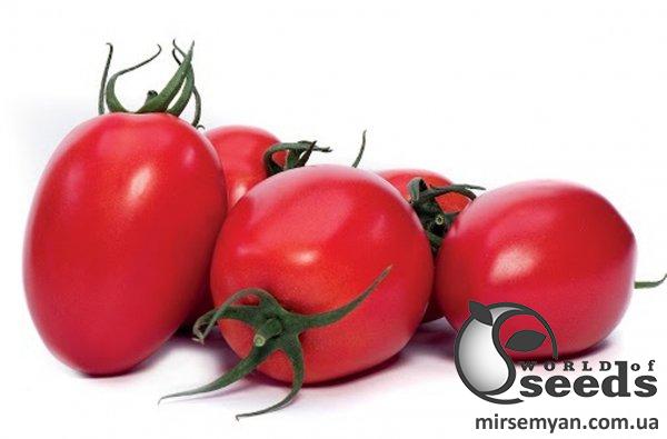 Помидоры Колеос F1 500 семян. (Yuksel Seeds) Помидоры Колеос F1 500 семян. (Yuksel Seeds)