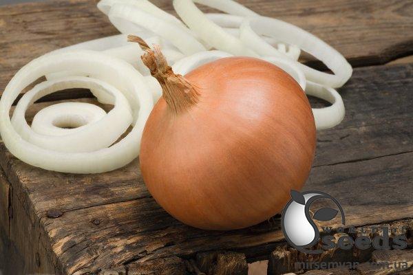 Лук Бирди F1 250 000 семян. (Bejo) Лук Бирди F1 250 000 семян. (Bejo)