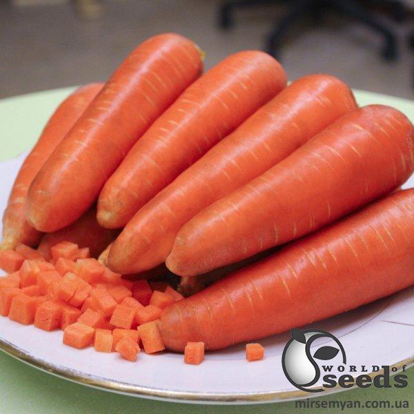 Морковь Каскад F1 (1,4-1,6мм) 100 000 семян. (Bejo) Морковь Каскад F1 (1,4-1,6мм) 100 000 семян. (Bejo)