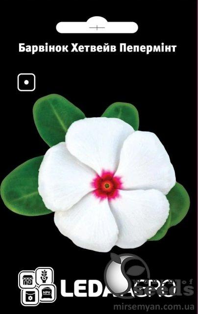 Барвинок Хэтвейв Пеперминт белый 10 семян. L Барвинок Хэтвейв Пеперминт белый 10 семян. L
