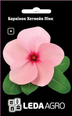 Катарантус (барвинок) Хетвейв Пинк розовый 10 семян. Л