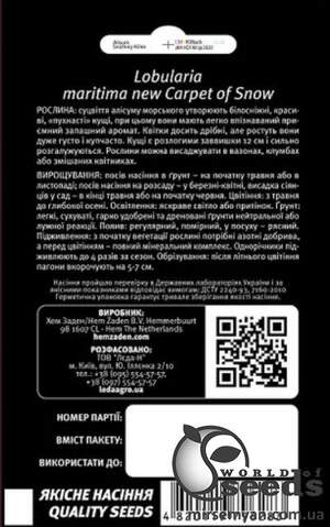 Алисум Снежный ковер, 0,2г. L Алисум Снежный ковер, 0,2г. L