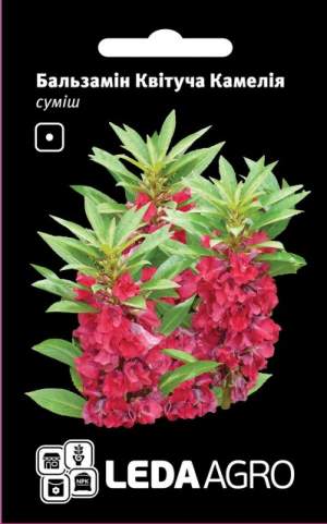 Бальзамин Цветущая Камелия, смесь 0,5г.  L