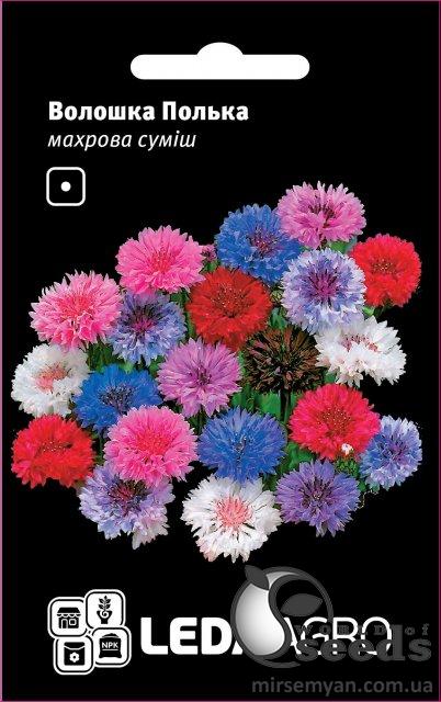 Василек Полька (махровая смесь) 0,5г. L Василек Полька (махровая смесь) 0,5г. L