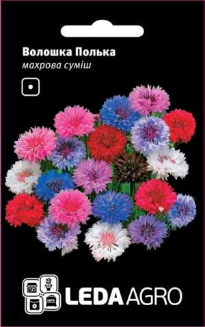 Василек Полька (махровая смесь) 0,5г. L Василек Полька (махровая смесь) 0,5г. L