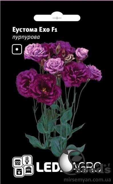 Эустома Эхо F1 пурпурная 5 семян. L Эустома Эхо F1 пурпурная 5 семян. L