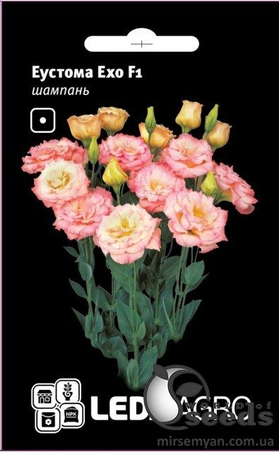 Эустома Эхо F1 шампань 5 семян. L Эустома Эхо F1 шампань 5 семян. L