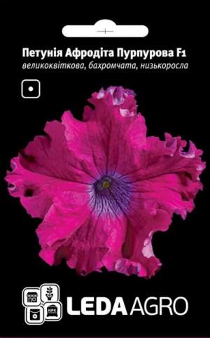 Петуния Афродита F1 пурпурная 10 семян. L